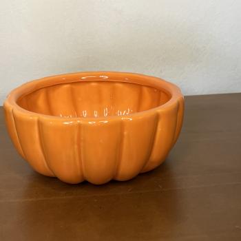 BOWL ABOBORA G LARANJA