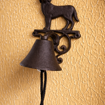 SINO DE CACHORRO 26X14CM FERRO
