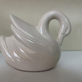 CISNE CHÃO OFF-WHITE 16x12