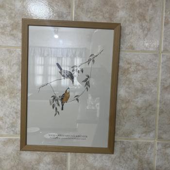QUADRO MOLDURA LAMINA COMPOSTA A3-PASSAROS VINTAGE 5- 45X33
