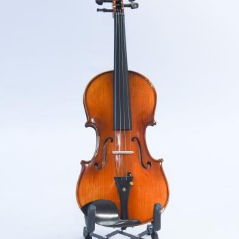 VIOLINO PREMIUM - LINHA VISTUOSO  4/4 - JAVN-600
