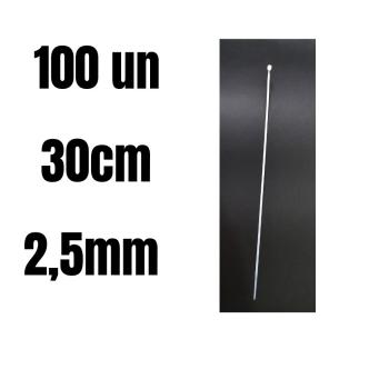 BRACADEIRA NYLON 300*2.8MM - PACK C/250 UNID - E3028