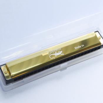 GAITA 24 VOZES (INICIANTE) DOURADO - UNIT - HA24-GD