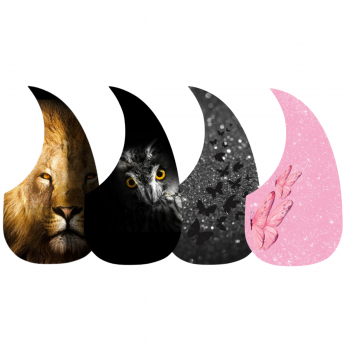 ADESIVO VIOLÃO GOTA ESTAMPAS -  4 UNID - MOD. 1  ANIMAL -  EF03