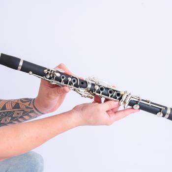 CLARINETE 17 CHAVES Bb - UNIT - CL17