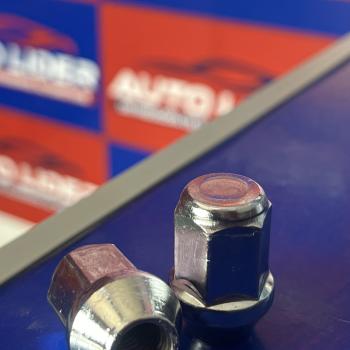 PORCA CHEVETTE LONGA NACIONAL (CH.19) OPALA/CARAVAN 81-92/D-10/D-20/S-10/BLAZER/SILVERADO...97