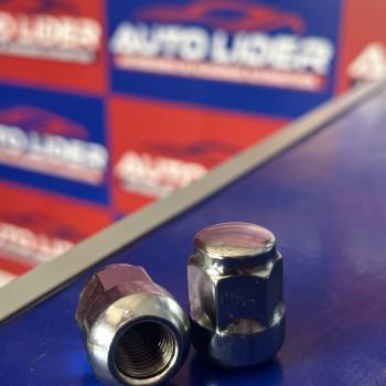 PORCA FIT/CITY (CH.19) ESFERICA FIT EX/LX/DX/ELX/ CITY EX/LX/DX/ELX