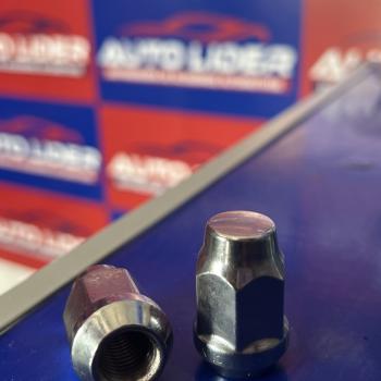 PORCA ONIX (CH.19) PRISMA/ONIX/S-10/CRUZE