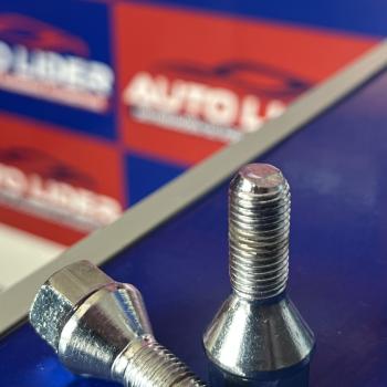 PARAFUSO RENAULT TODOS NACIONAL (CH.19) CLIO/SCENIC/MEGANE/KANGOO/DUSTER (20UN)