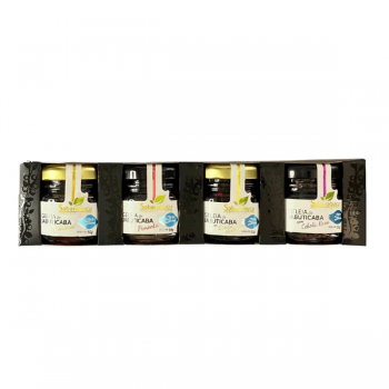 Kit com 4 mini Geleias de Jabuticaba Zero Açúcar 50g cada