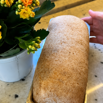 Pão Integral Cetogênico - Para Assar (2 un)