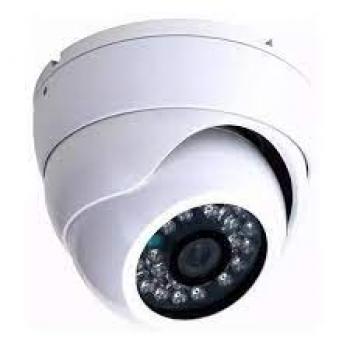 359fda23c2c240a199a1fb5ea0dd3870.jpg