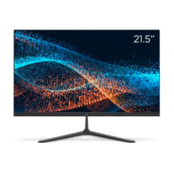 Monitor 100Hz Slim 21.5