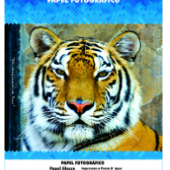 Papel Fotografico Glossy 230g Com 50 Folhas A4 Branco