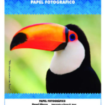 Papel Fotografico A4 Glossy 115g 50 folhas