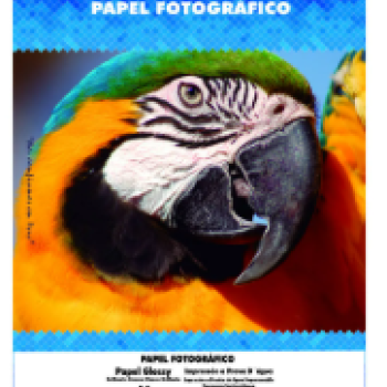 Papel Fotografico Glossy 180g Com 50 Folhas A4 Branco