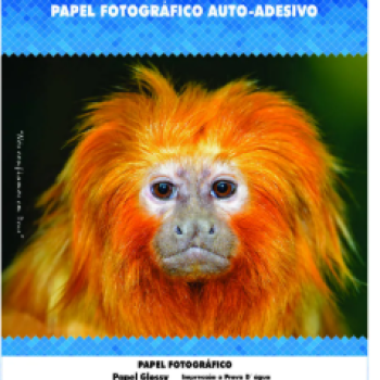 Papel Fotografico Auto-Adesivo 130g Com 50 Folhas A4 Branco Papel Glossy