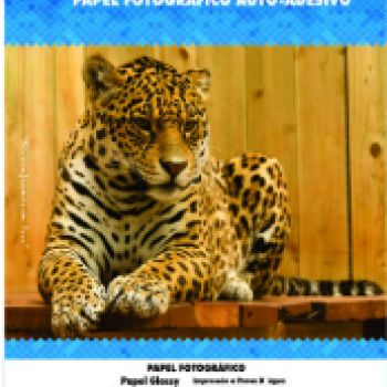 Papel Fotografico Adesivo A4 Glossy 80g 20 Folhas Premium