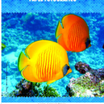 PAPEL FOTO GLOSSY DUPLA FACE 120G/M A4 - 50FOLHAS