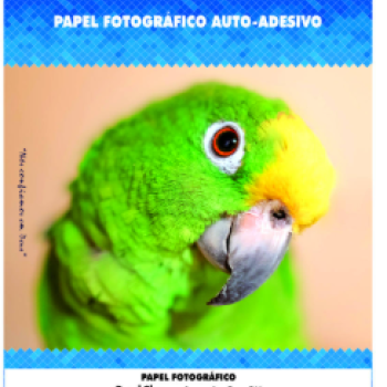 Papel Fotografico Auto-Adesivo 115g Com 20 Folhas A4 Branco Papel Glossy