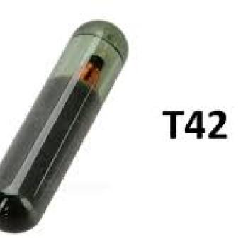 Chip T42 Original...