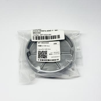 POLIA DIREITA EIXO Y - MP-M024484