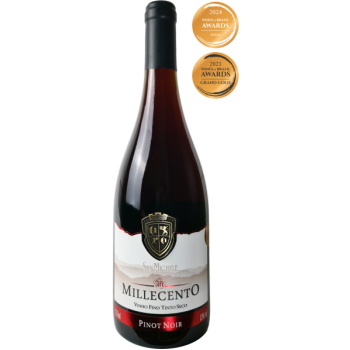 San Michele Millecento Tinto