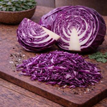 REPOLHO ROXO (UNI )