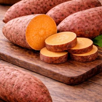 BATATA DOCE ( CX )