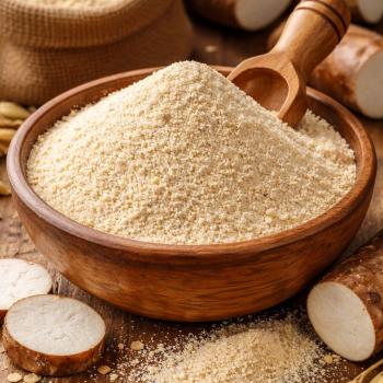 FARINHA DE MANDIOCA GROSA 1 KG  - MERENDÃO