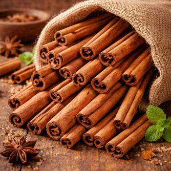 CANELA CASCA 30G  - MERENDÃO
