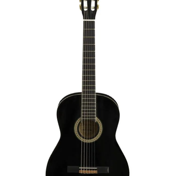 VIOLAO NYLON HARMONICS GNA 111 PT