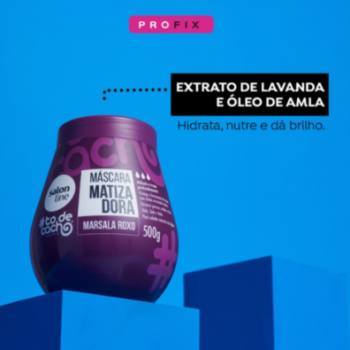 MÁSCARA MATIZADORA SALON LINE TO DE CACHO PRO FIX MARSALA ROXO500G