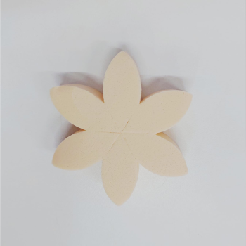 ESPONJA MISS FRANDY FLORENZA