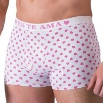 Cueca O Pai Te Ama Sexy Fantasy - 1302