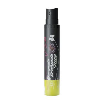 Neon Garganta Profunda Maçã Verde Spray Dessensibilizante 18ml Pepper Blend - PB407