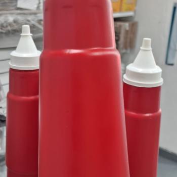 Bisnaga Ketchup