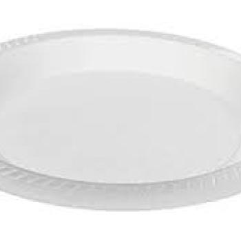 Prato desc. Gpack 21cm- 10Und