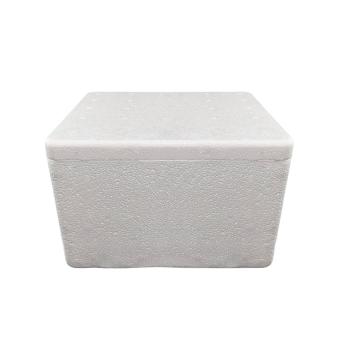 Caixa termica Medicação 11x14cm