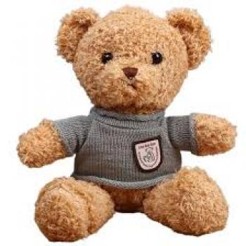 URSO PELÚCIA COM ROUPINHA