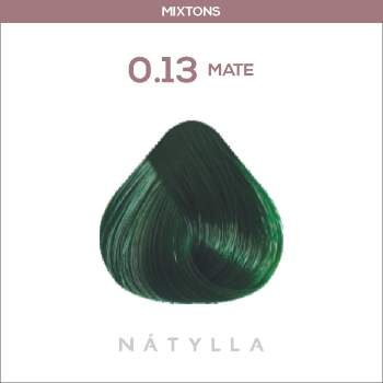 COLORAÇÃO CELEBRITY COLOR PREMIUM NATYLLA 0.13