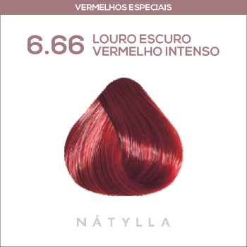 COLORAÇÃO CELEBRITY COLOR PREMIUM NATYLLA 6.66