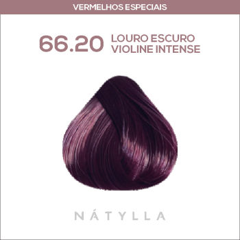 COLORAÇÃO CELEBRITY COLOR PREMIUM NATYLLA 66.20
