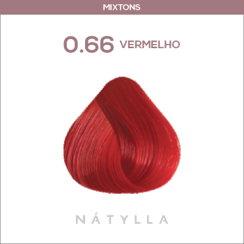 COLORAÇÃO CELEBRITY COLOR PREMIUM NATYLLA 0.66