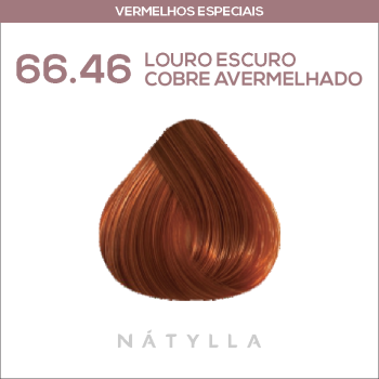 COLORAÇÃO CELEBRITY COLOR PREMIUM NATYLLA 66.46