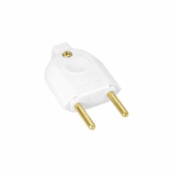 PLUGM  -  PLUG MACHO 2 PINOS 10A
