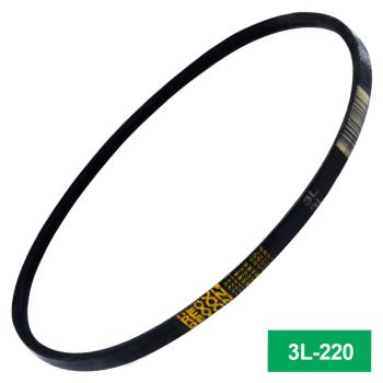 CORREIA 3L-220