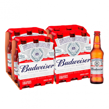 CAIXA BUDWEISER LONG NECK 330ML