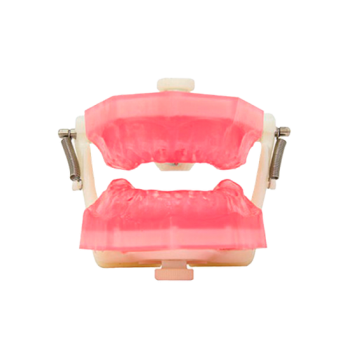 .MANEQUIM ENDODONTIA TOP PD107 - PRONEW