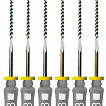 .LIMA K -  6UN - DENTSPLY-08/31mm